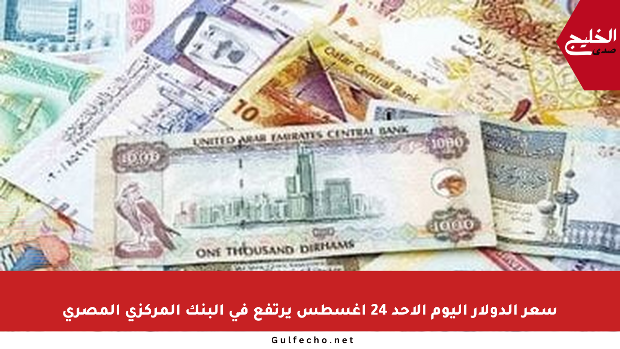 سعر الدولار اليوم الأحد 24 أغسطس يرتفع في البنك المركزي المصري